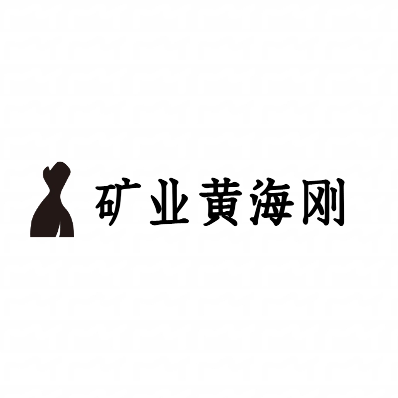 矿业黄海刚